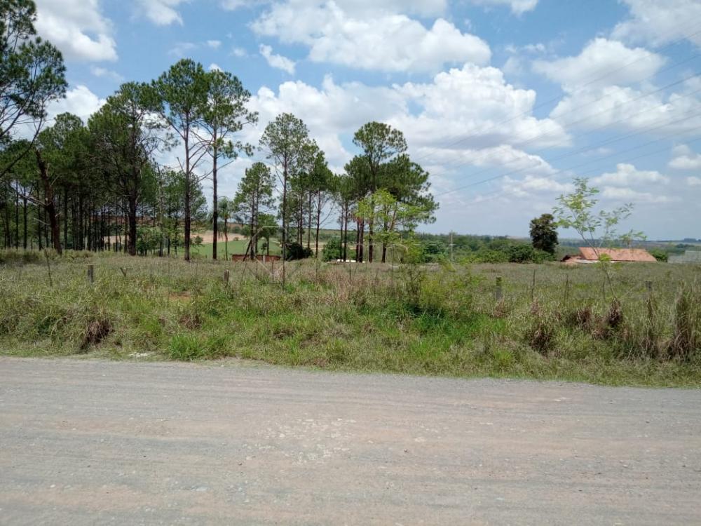 Comprar Terreno / Residencial em Limeira R$ 140.000,00 - Foto 1