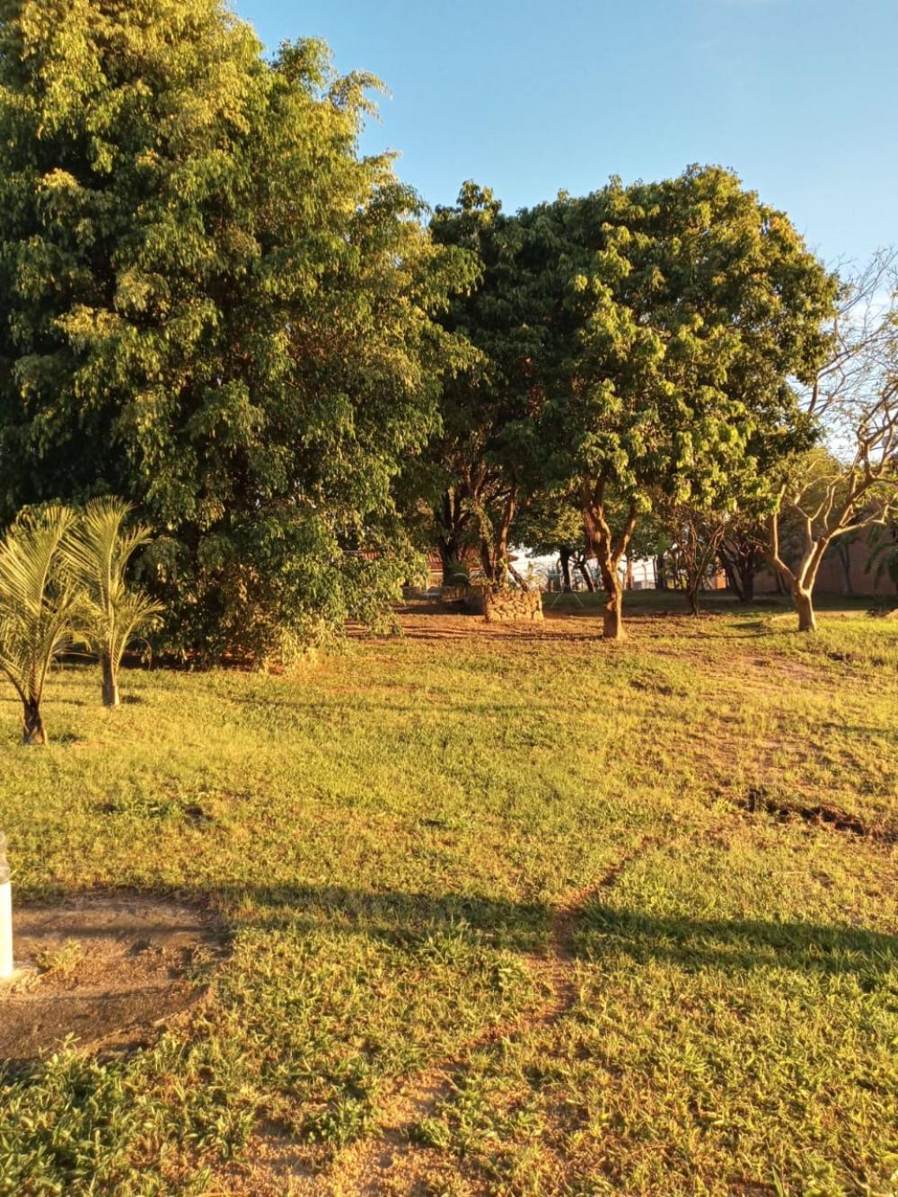 Comprar Rural / Ch&aacute;cara em Limeira R$ 630.000,00 - Foto 3