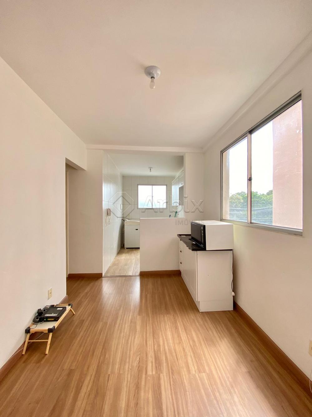Alugar Apartamento / Apartamento em Americana R$ 750,00 - Foto 1