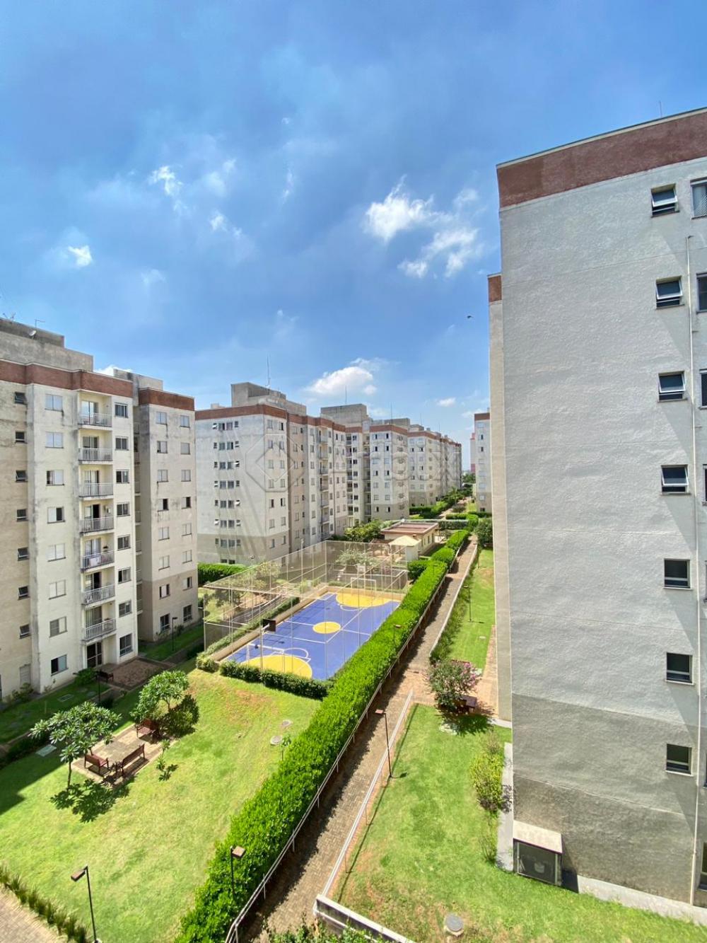 Alugar Apartamento / Apartamento em Americana R$ 1.200,00 - Foto 15