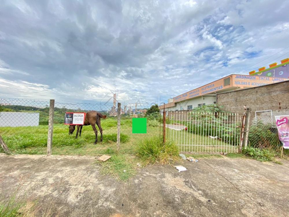 Alugar Terreno / Residencial em Americana R$ 1.450,00 - Foto 1