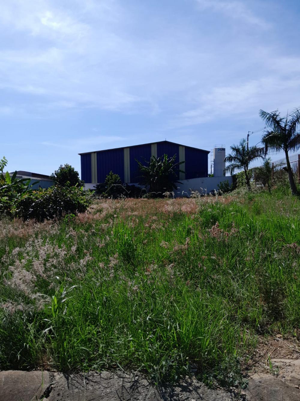 Alugar Terreno / &Aacute;rea em Americana R$ 4.500,00 - Foto 2