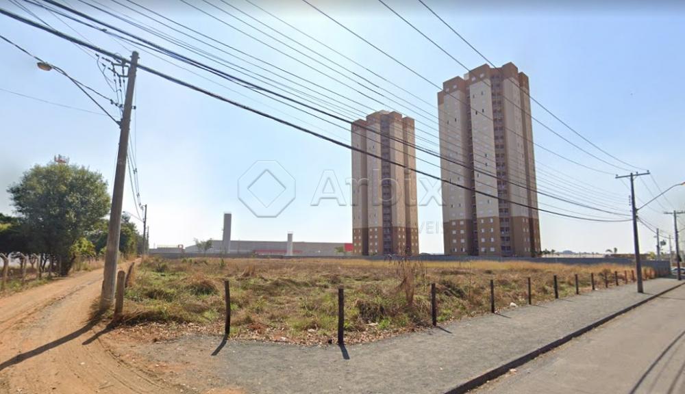 Alugar Terreno / &Aacute;rea em Nova Odessa R$ 10.000,00 - Foto 1