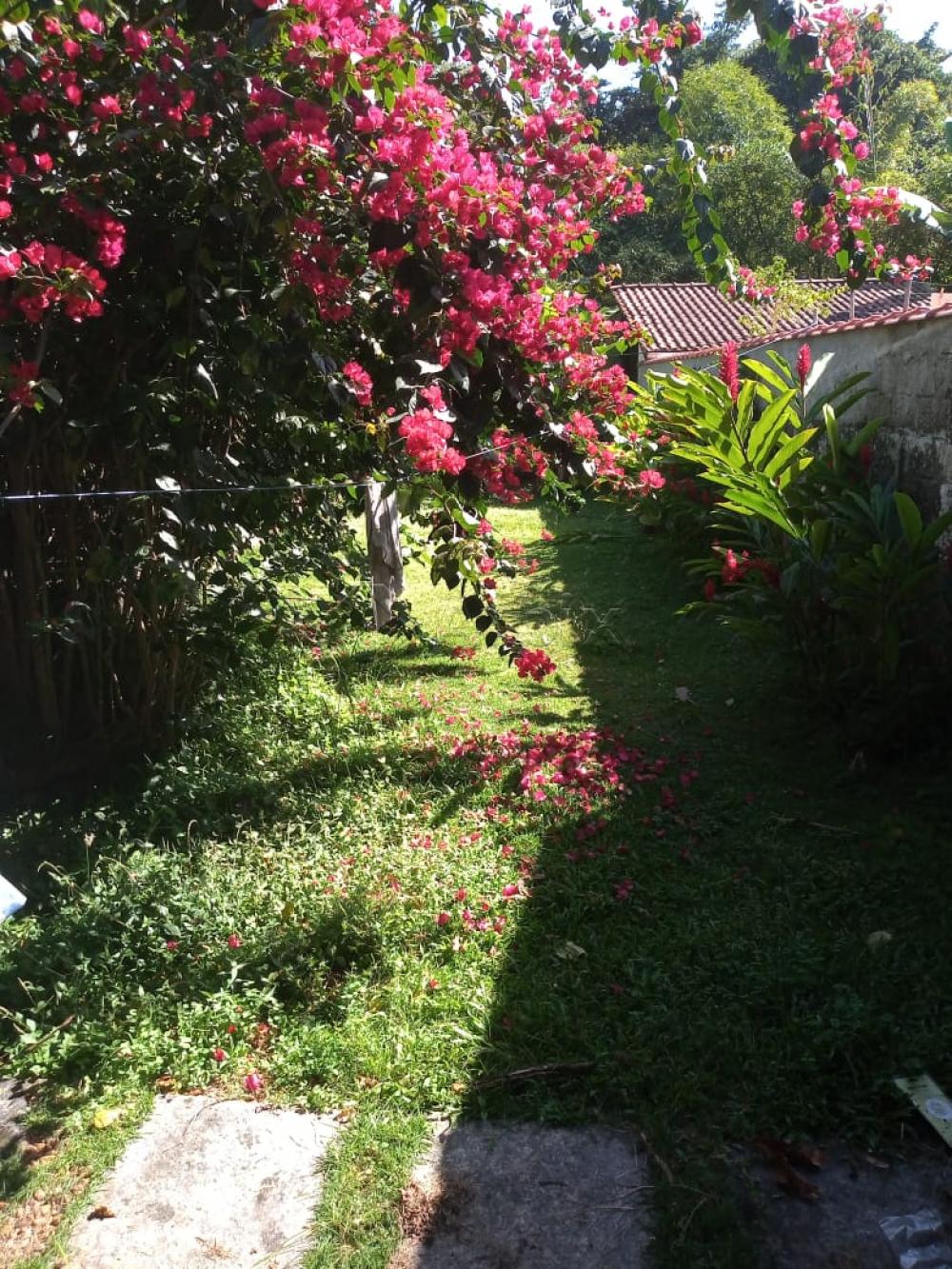 Comprar Casa / Residencial em Ubatuba R$ 799.000,00 - Foto 3