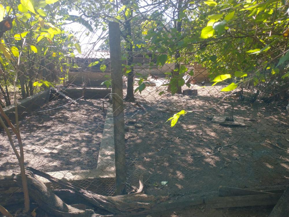 Comprar Rural / Ch&aacute;cara em Limeira R$ 750.000,00 - Foto 33