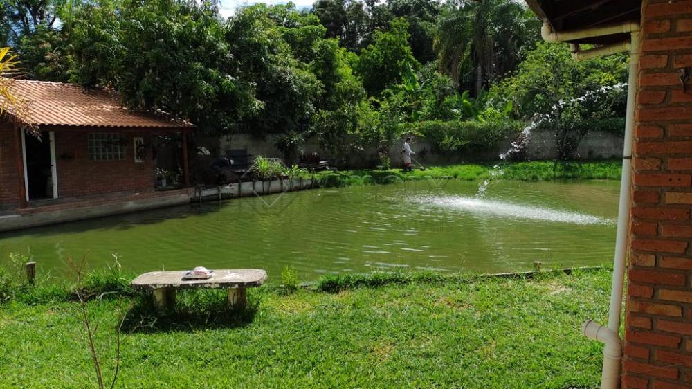 Comprar Rural / Ch&aacute;cara em Santa B&aacute;rbara D`Oeste R$ 620.000,00 - Foto 3