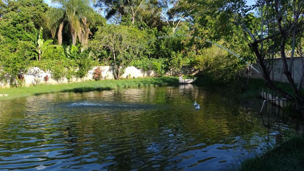 Comprar Rural / Ch&aacute;cara em Santa B&aacute;rbara D`Oeste R$ 620.000,00 - Foto 4