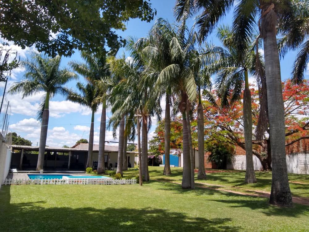 Alugar Rural / Ch&aacute;cara em Nova Odessa R$ 8.000,00 - Foto 3