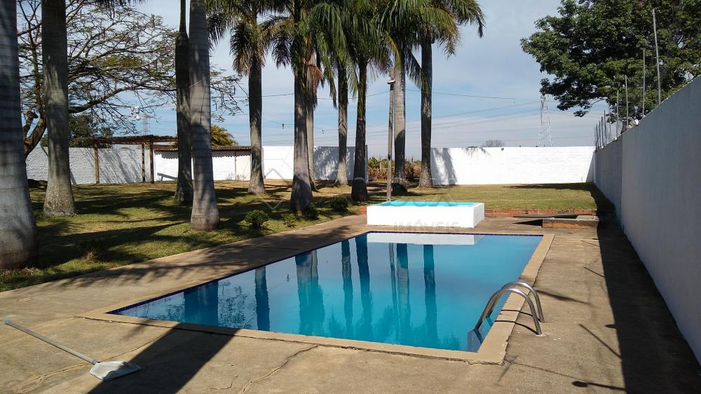 Alugar Rural / Ch&aacute;cara em Nova Odessa R$ 8.000,00 - Foto 7