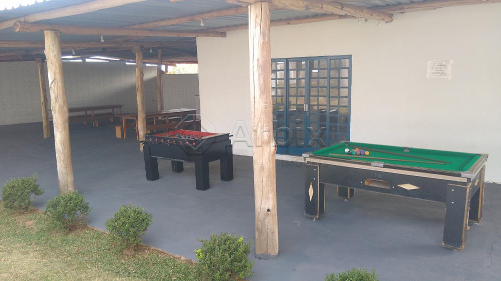 Alugar Rural / Ch&aacute;cara em Nova Odessa R$ 8.000,00 - Foto 9