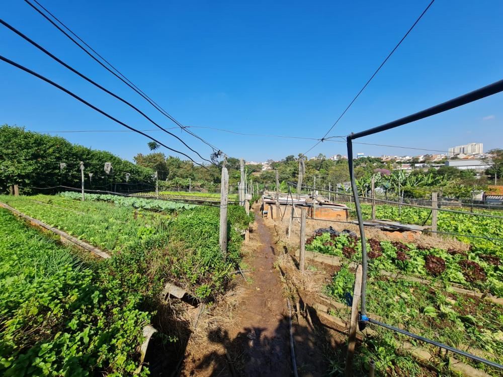 Comprar Terreno / &Aacute;rea em Santa B&aacute;rbara D`Oeste R$ 1.800.000,00 - Foto 2