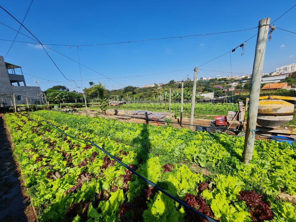 Comprar Terreno / &Aacute;rea em Santa B&aacute;rbara D`Oeste R$ 1.800.000,00 - Foto 3