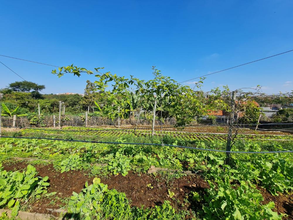 Comprar Terreno / &Aacute;rea em Santa B&aacute;rbara D`Oeste R$ 1.800.000,00 - Foto 4