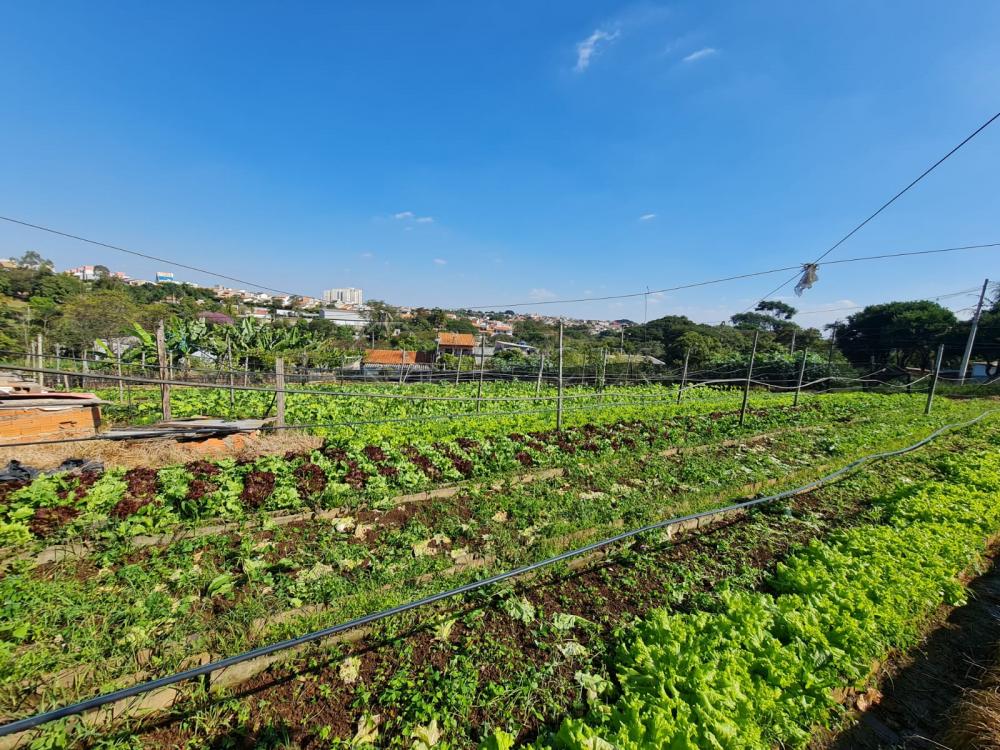 Comprar Terreno / &Aacute;rea em Santa B&aacute;rbara D`Oeste R$ 1.800.000,00 - Foto 5
