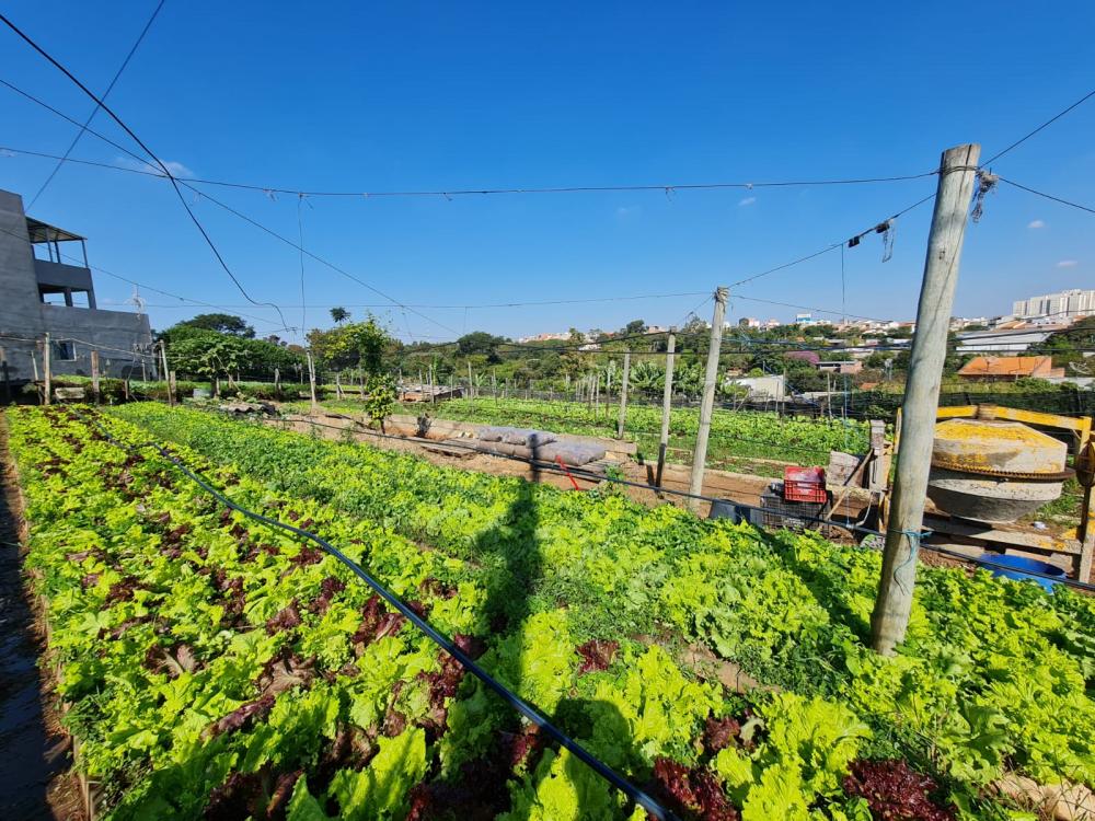 Comprar Terreno / &Aacute;rea em Santa B&aacute;rbara D`Oeste R$ 1.800.000,00 - Foto 9