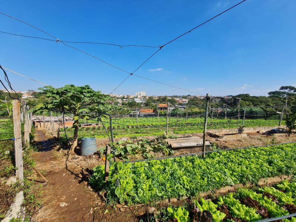 Comprar Terreno / &Aacute;rea em Santa B&aacute;rbara D`Oeste R$ 1.800.000,00 - Foto 8