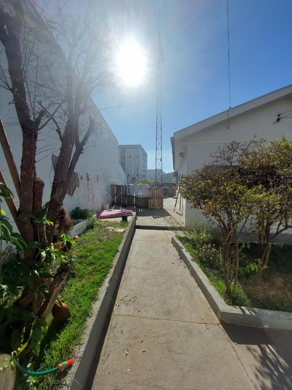Comprar Casa / Residencial em Americana R$ 480.000,00 - Foto 3