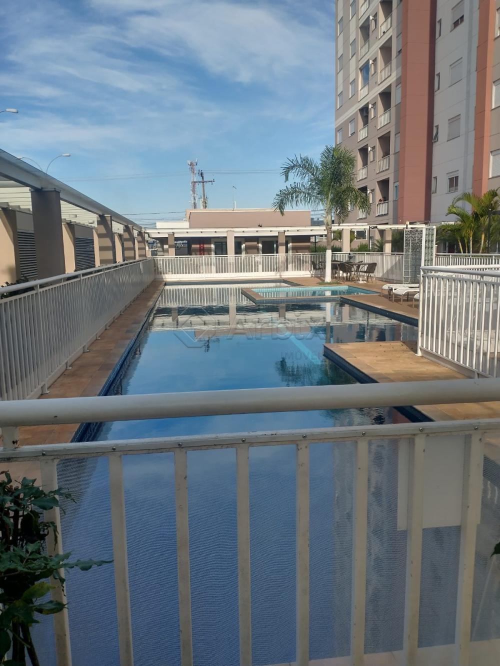 Comprar Apartamento / Apartamento em Americana R$ 550.000,00 - Foto 3
