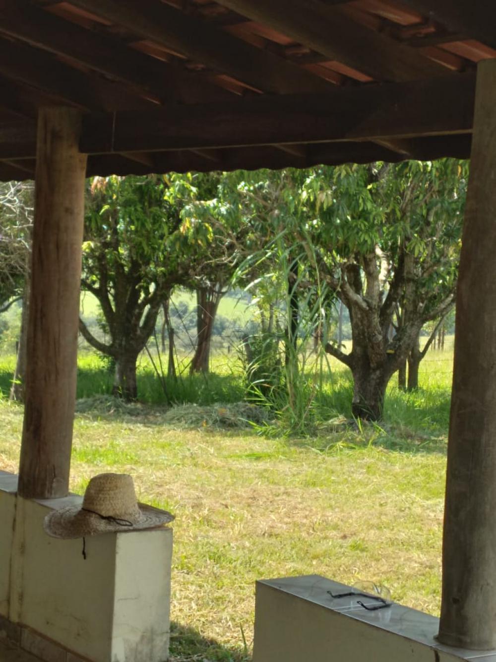 Comprar Rural / Ch&aacute;cara em Piracicaba R$ 640.000,00 - Foto 2