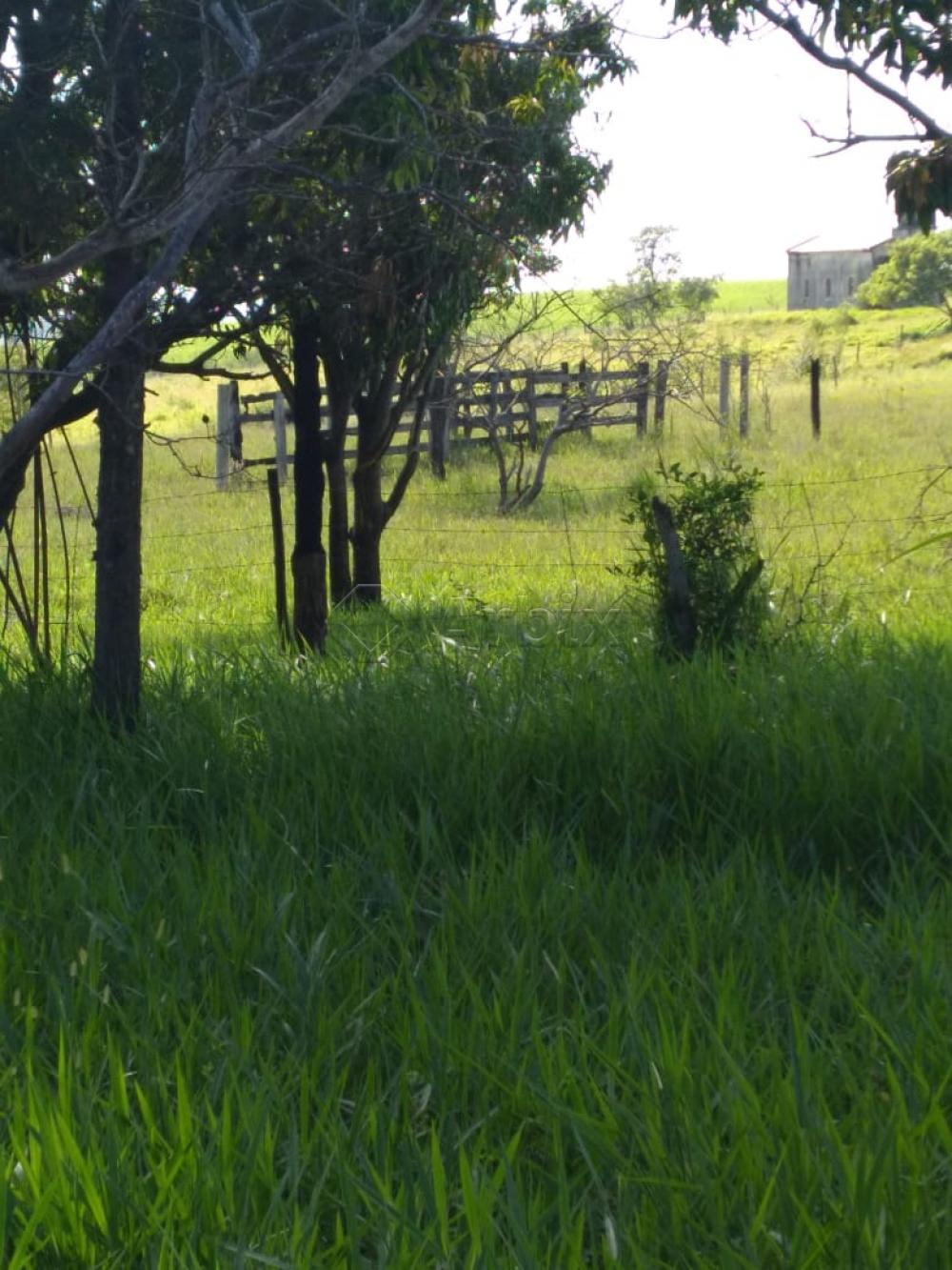 Comprar Rural / Ch&aacute;cara em Piracicaba R$ 640.000,00 - Foto 3