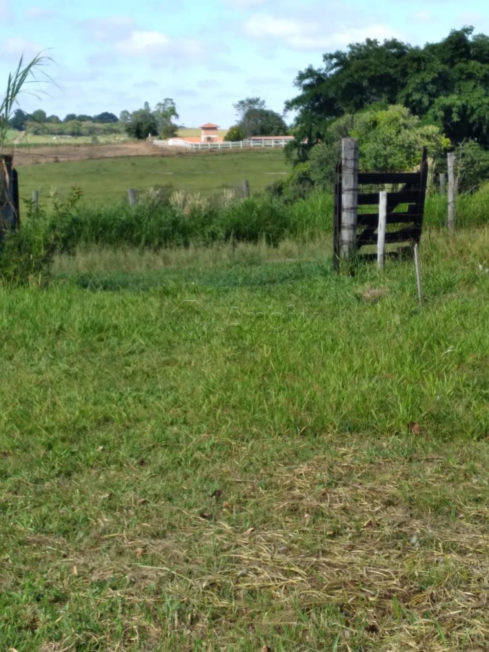 Comprar Rural / Ch&aacute;cara em Piracicaba R$ 640.000,00 - Foto 7