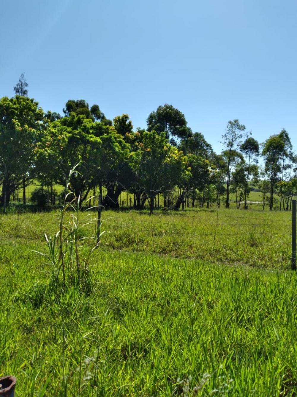 Comprar Rural / Ch&aacute;cara em Piracicaba R$ 640.000,00 - Foto 8