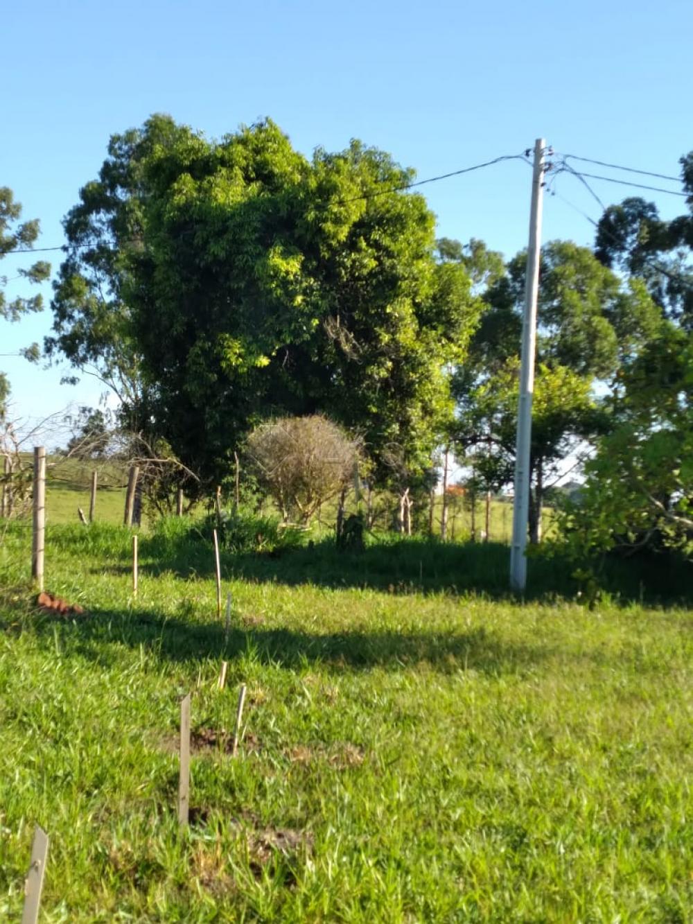 Comprar Rural / Ch&aacute;cara em Piracicaba R$ 640.000,00 - Foto 9