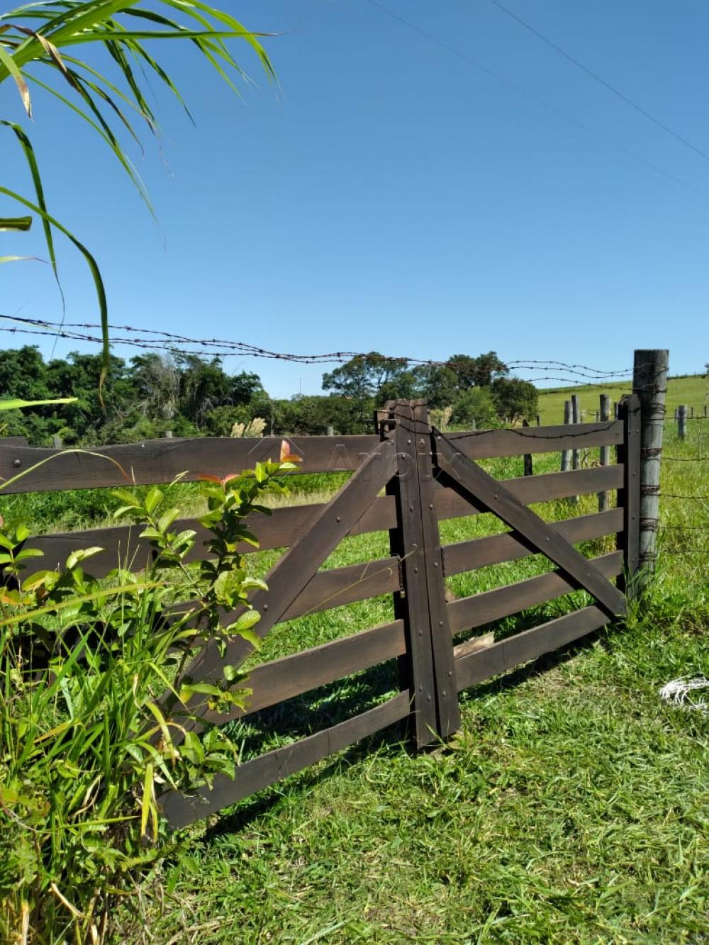 Comprar Rural / Ch&aacute;cara em Piracicaba R$ 640.000,00 - Foto 17