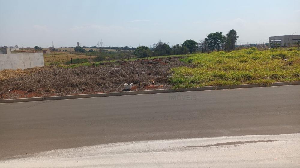 Comprar Terreno / Residencial em Santa B&aacute;rbara D`Oeste R$ 280.000,00 - Foto 1