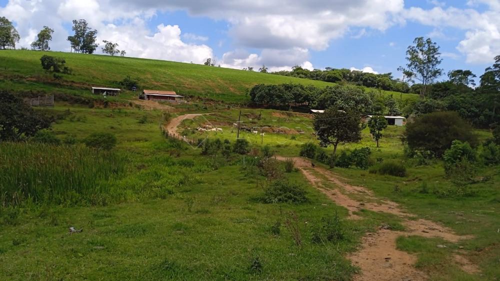 Comprar Rural / S&iacute;tio em Vargem R$ 4.000.000,00 - Foto 3
