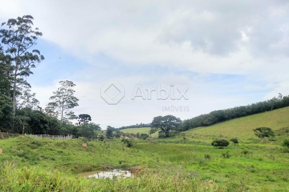 Comprar Rural / S&iacute;tio em Vargem R$ 4.000.000,00 - Foto 4