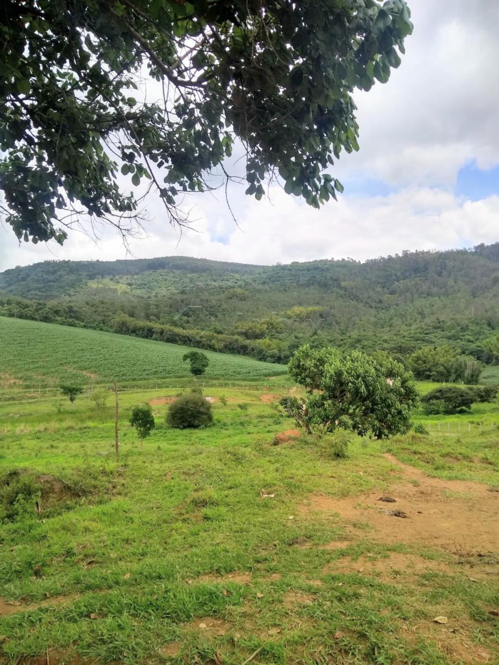 Comprar Rural / S&iacute;tio em Vargem R$ 4.000.000,00 - Foto 5