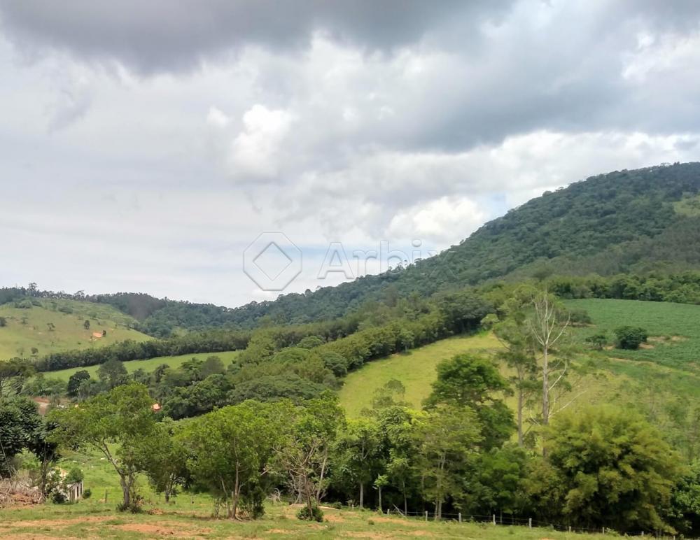 Comprar Rural / S&iacute;tio em Vargem R$ 4.000.000,00 - Foto 6