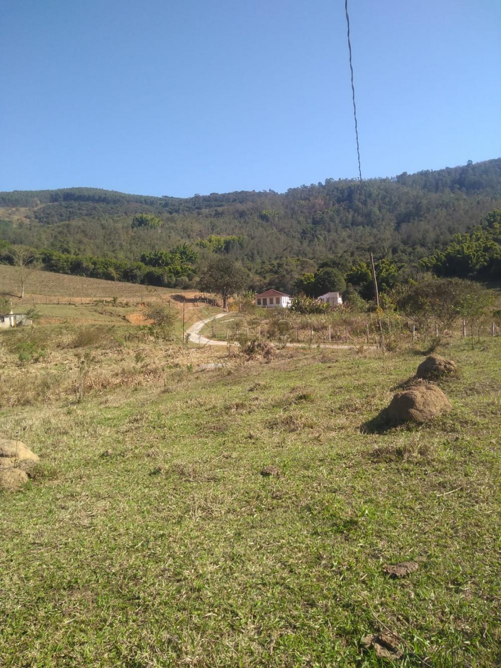 Comprar Rural / S&iacute;tio em Vargem R$ 4.000.000,00 - Foto 7