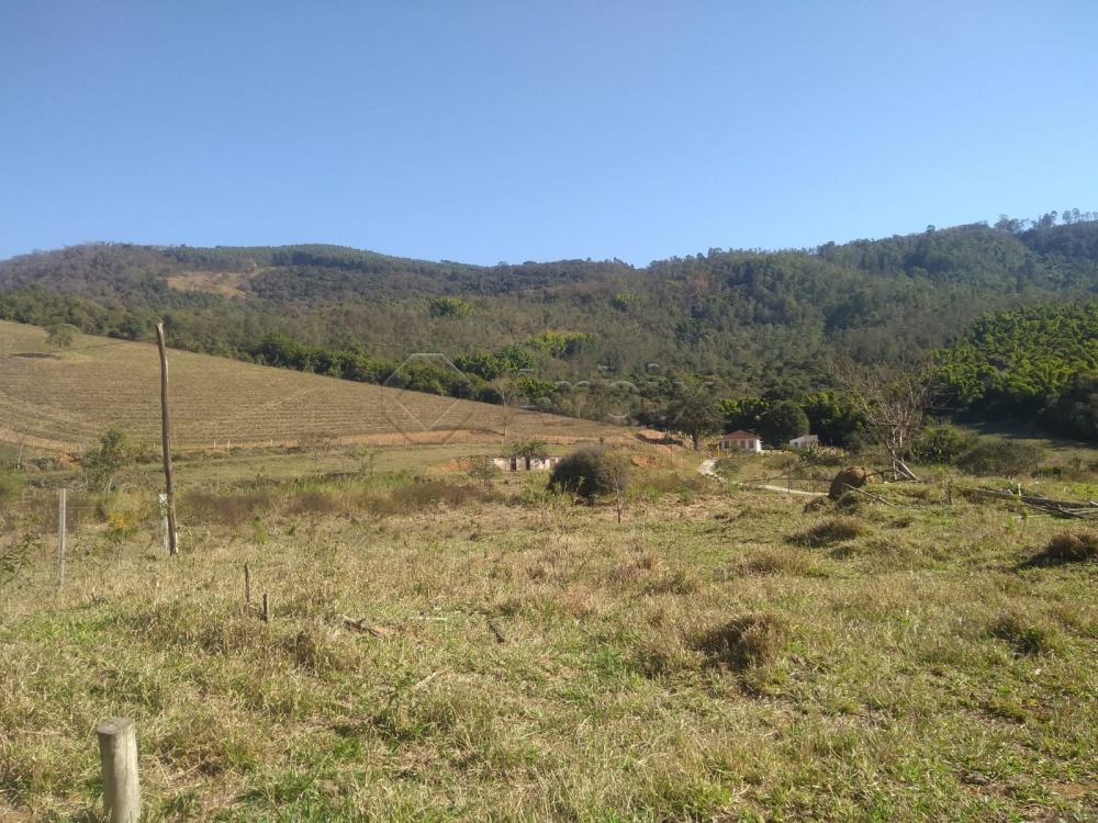 Comprar Rural / S&iacute;tio em Vargem R$ 4.000.000,00 - Foto 8