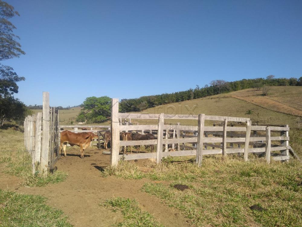 Comprar Rural / S&iacute;tio em Vargem R$ 4.000.000,00 - Foto 9