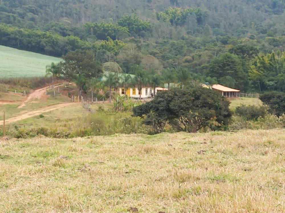 Comprar Rural / S&iacute;tio em Vargem R$ 4.000.000,00 - Foto 12