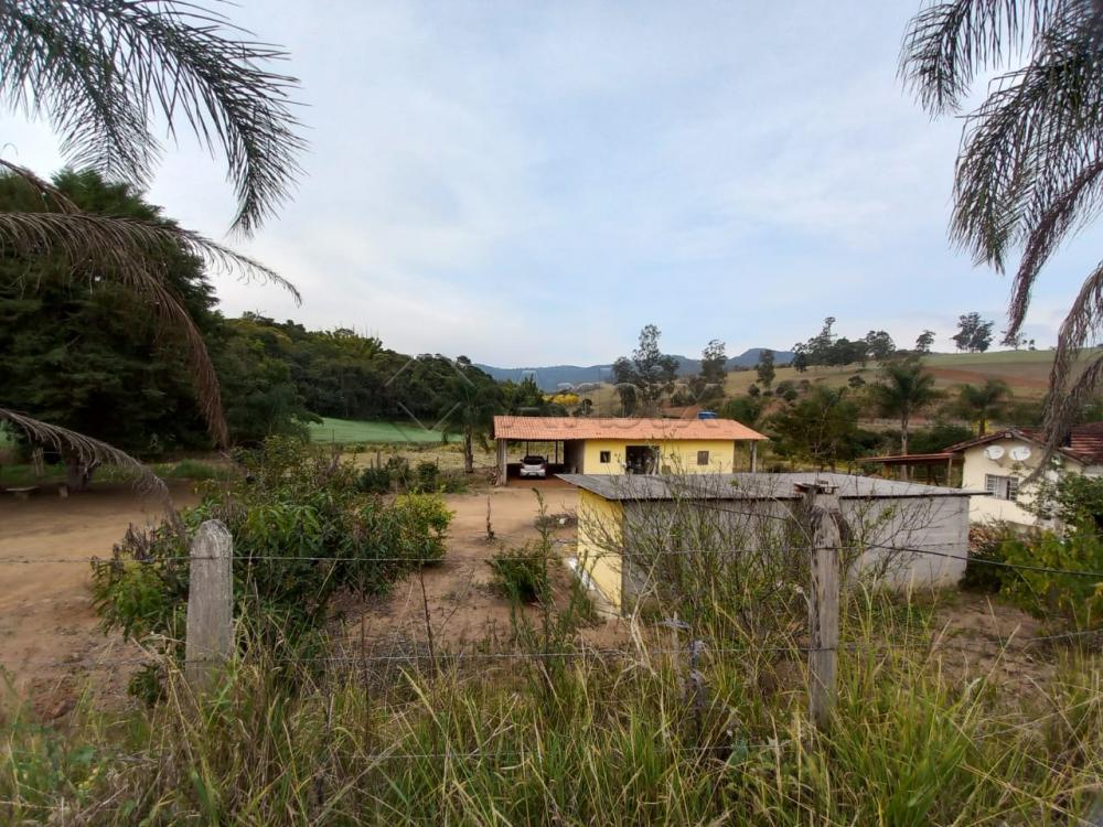 Comprar Rural / S&iacute;tio em Vargem R$ 4.000.000,00 - Foto 13