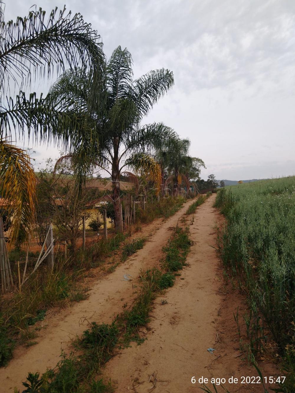 Comprar Rural / S&iacute;tio em Vargem R$ 4.000.000,00 - Foto 14