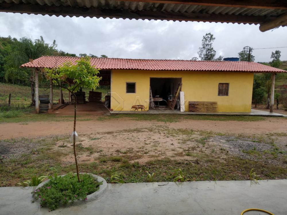 Comprar Rural / S&iacute;tio em Vargem R$ 4.000.000,00 - Foto 10