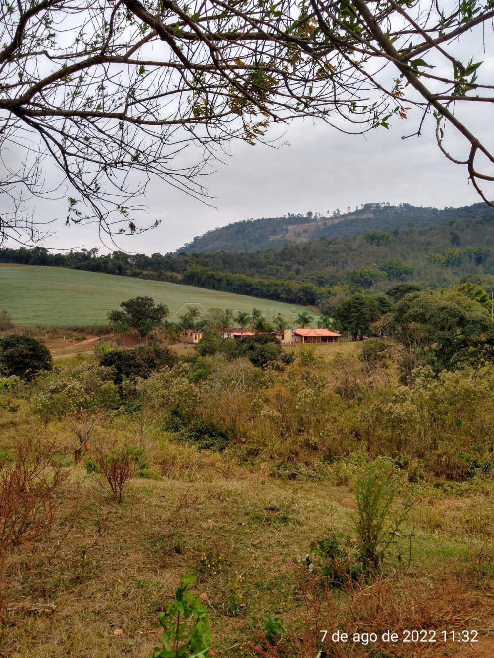 Comprar Rural / S&iacute;tio em Vargem R$ 4.000.000,00 - Foto 15