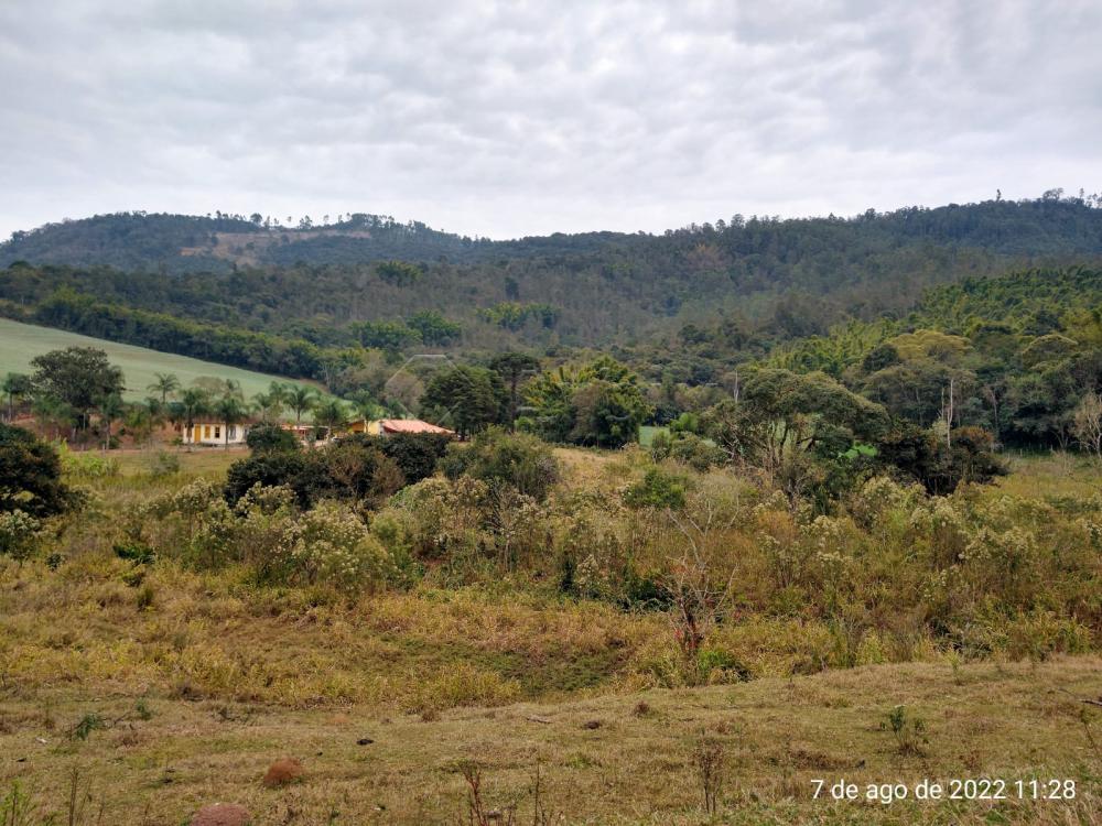 Comprar Rural / S&iacute;tio em Vargem R$ 4.000.000,00 - Foto 16