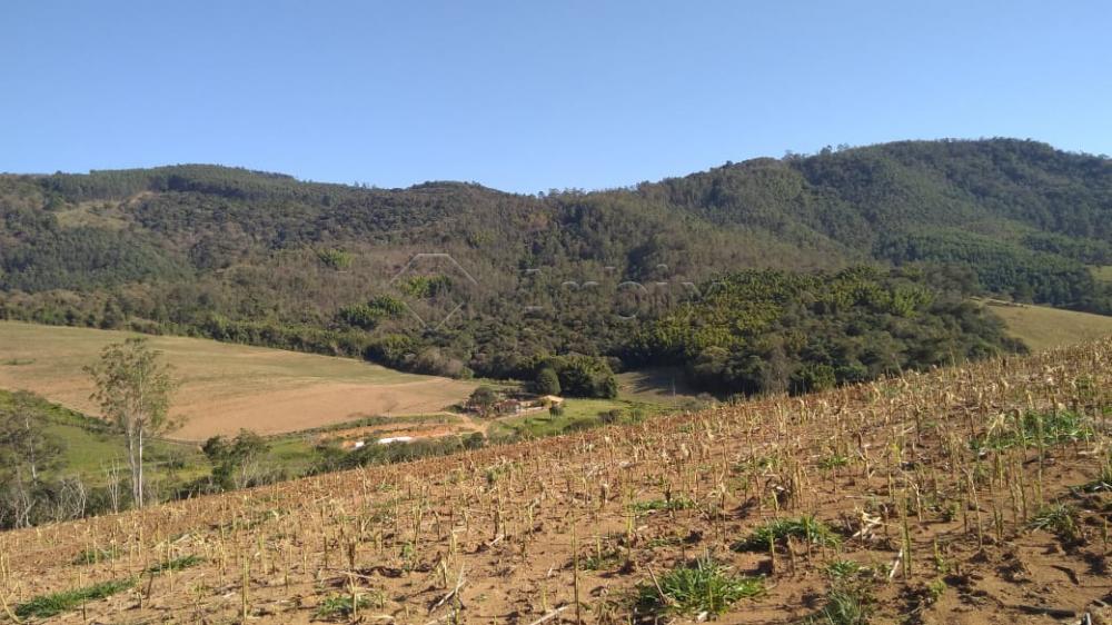 Comprar Rural / S&iacute;tio em Vargem R$ 4.000.000,00 - Foto 17