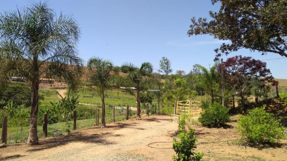 Comprar Rural / S&iacute;tio em Vargem R$ 4.000.000,00 - Foto 18