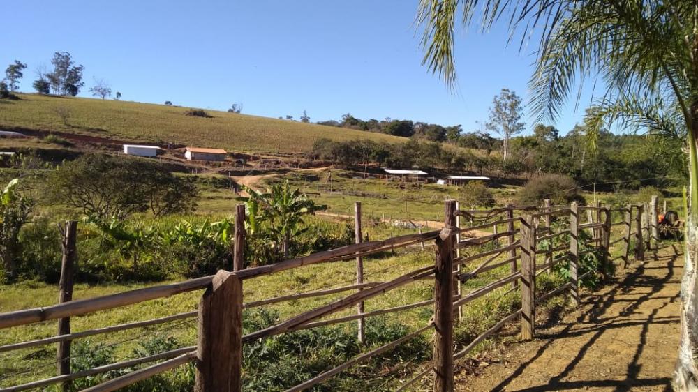 Comprar Rural / S&iacute;tio em Vargem R$ 4.000.000,00 - Foto 20