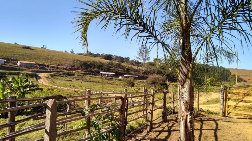 Comprar Rural / S&iacute;tio em Vargem R$ 4.000.000,00 - Foto 21