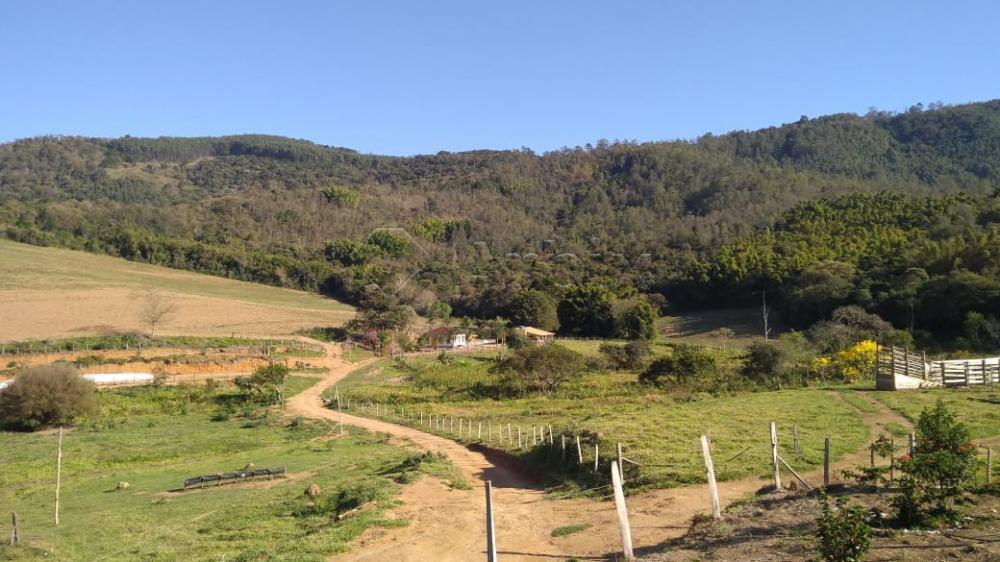 Comprar Rural / S&iacute;tio em Vargem R$ 4.000.000,00 - Foto 22