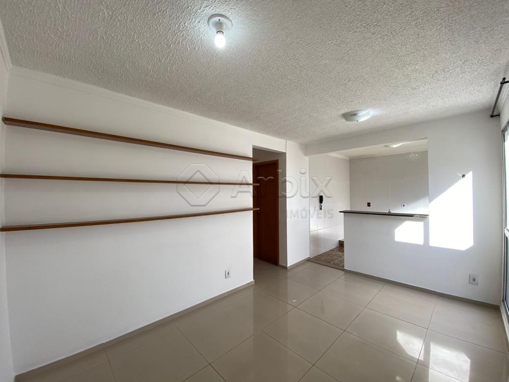 Alugar Apartamento / Residencial em Americana R$ 800,00 - Foto 1