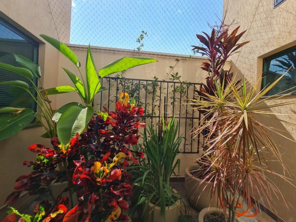 Comprar Casa / Sobrado em Americana R$ 1.100.000,00 - Foto 14