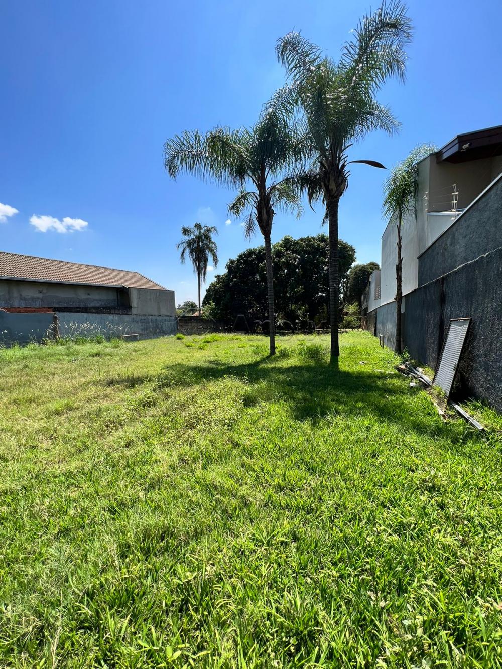 Comprar Terreno / Residencial em Americana R$ 500.000,00 - Foto 1